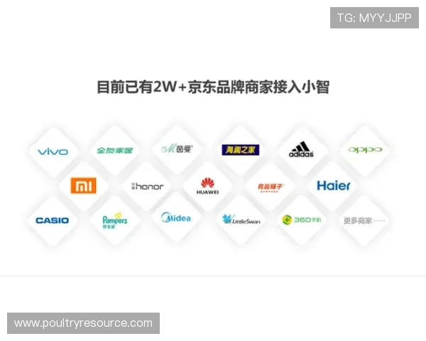 bwin必赢贵宾会：贵宾会会员的专属客服热线与快速响应服务介绍