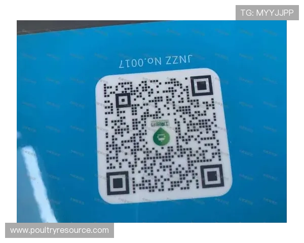 bwin娱乐:如何利用平台提供的优惠券和奖励机制提升游戏体验