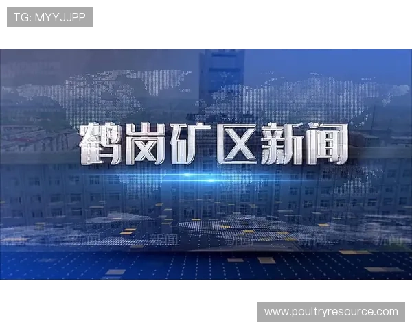 bwin必赢唯一官方网站的客户服务体系与用户权益保障措施全面解析