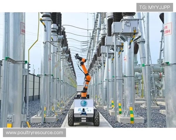 5G技术在智能电网中的应用前景与未来发展趋势分析