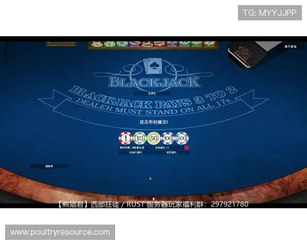 21点大小玩法详解帮助新手快速掌握游戏技巧提升获胜几率