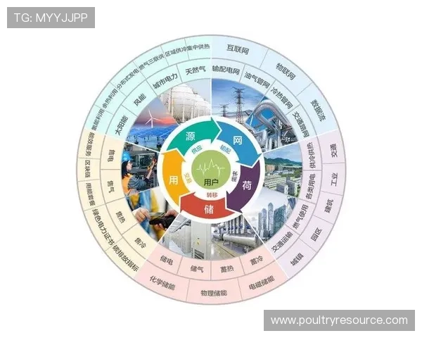 5g智能电网白皮书为智能电网的未来发展提供政策支持与技术创新的双重保障