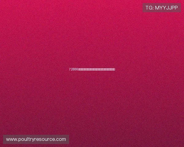 72886必赢网站如何利用数据分析优化游戏玩法提升玩家粘性