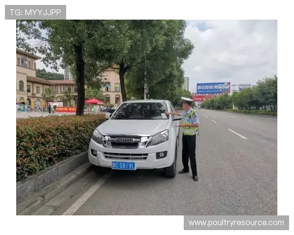 BTI体育登录入口安全保障措施,确保用户个人信息与账户安全无忧