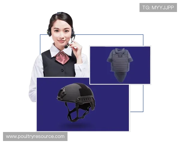 K8凯发网站技术团队介绍保障平台持续稳定运行