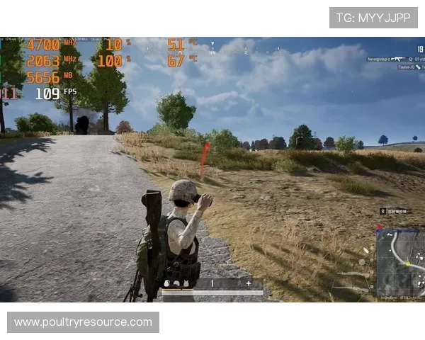 PP电游网页版安全稳定，轻松畅玩多款热门游戏体验极致娱乐享受