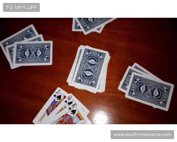 三公牌系数规则全面介绍及优化技巧助你轻松赢得游戏胜利