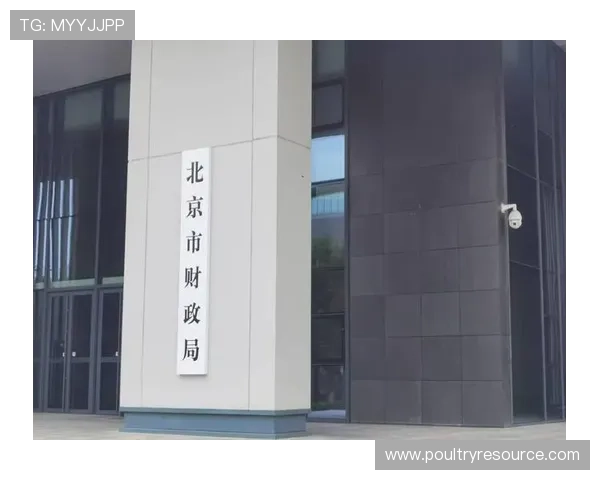 三公经费是哪三公的监督管理体系建设,提升财政资金使用的透明度