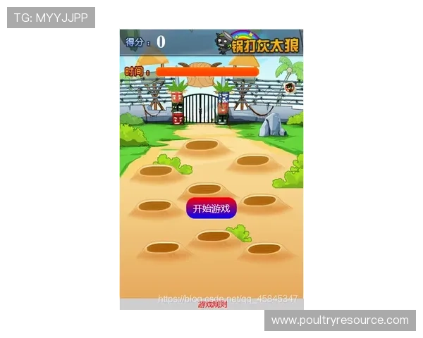 三公牛牛金花锅子跑得快游戏技巧与玩法详解,轻松掌握赢取大奖的秘诀