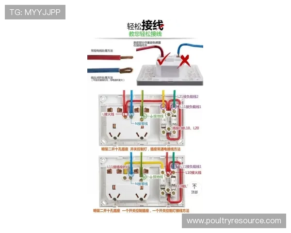 三公牛牛炸金花游戏规则全面解析帮助新手快速入门掌握玩法技巧