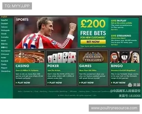 三公纸牌游戏安全保障措施与防作弊系统全面解析