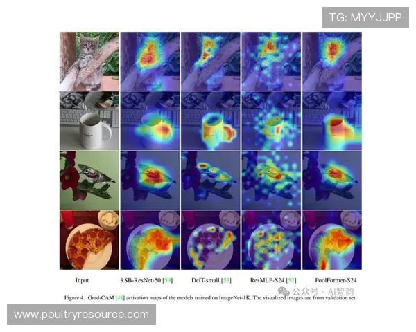 专业玩家必备的骰宝图片素材,提升你的游戏策略与视觉体验