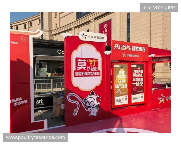 买大小规则全攻略教你如何根据规则制定科学的投注计划