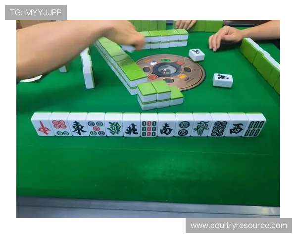 二人麻将真人版玩法技巧分享,轻松掌握赢牌秘诀享受真实体验