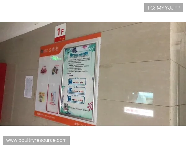 亚洲必赢平台多平台支持,手机电脑多设备畅玩无障碍,随时随地享受精彩游戏