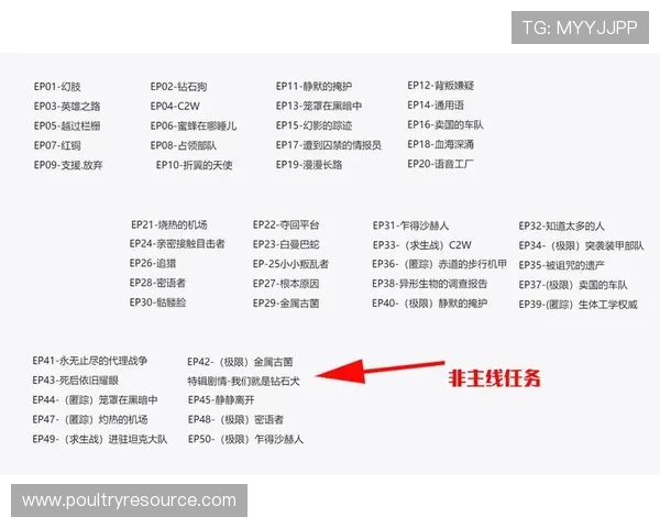 亚洲必赢国际437:如何选择最适合您的在线博彩平台策略