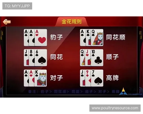 优质炸金花官网下载资源，快速下载安装无广告干扰体验极佳