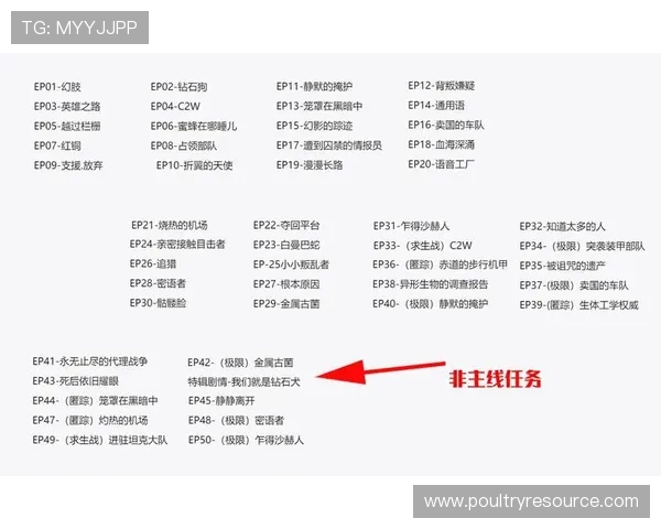 亚洲必赢网址有哪些优质平台可以选择，详细分析各大网站的优势与特色