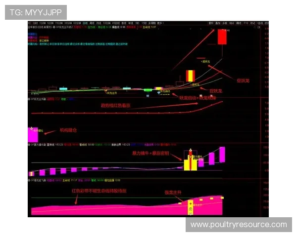 全面解析71886a必赢的玩法策略帮助玩家提升胜率