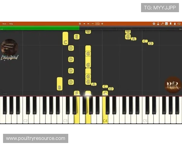 全面解析买大小游戏中的规则与技巧让你轻松掌握投注诀窍