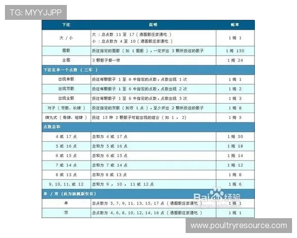 全面解析骰宝游戏规则与策略，助你在赌场中稳操胜券