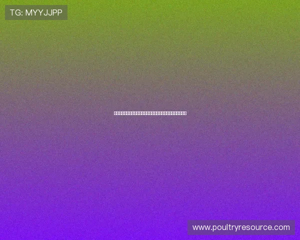 凯发沙巴体育安全保障措施全面升级确保玩家资金与信息安全无忧