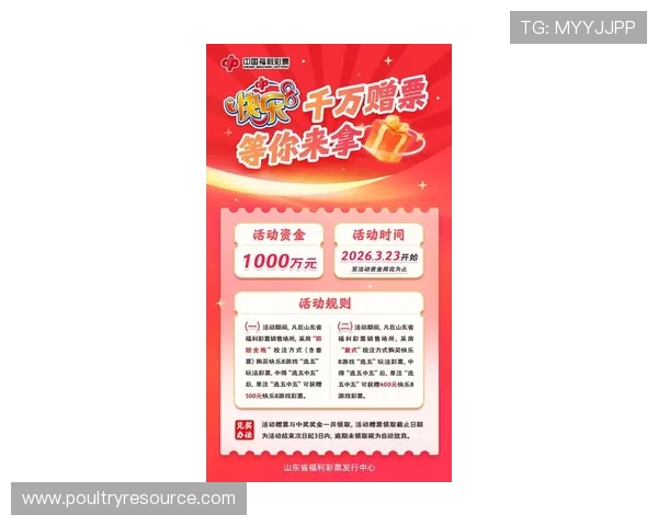 北京快乐8玩法详解及最新投注技巧帮助玩家轻松掌握游戏技巧提升中奖几率