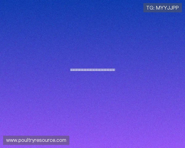 加入快乐娱乐平台享受专业客服支持，解决游戏中遇到的各种问题