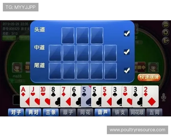 十三水玩法新手入门指南:从零开始学习游戏规则与玩法技巧