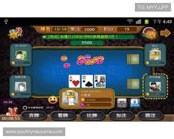 多平台支持的炸金花小游戏网页版，支持手机电脑多设备同步游戏