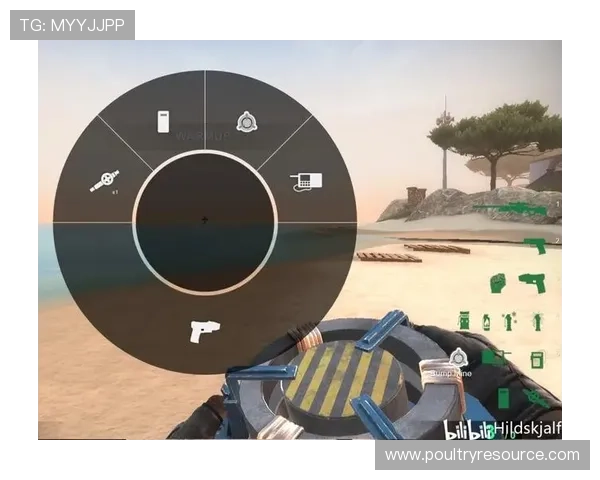 如何利用自定义轮盘功能满足不同玩家的个性化需求提升游戏的趣味性和用户满意度