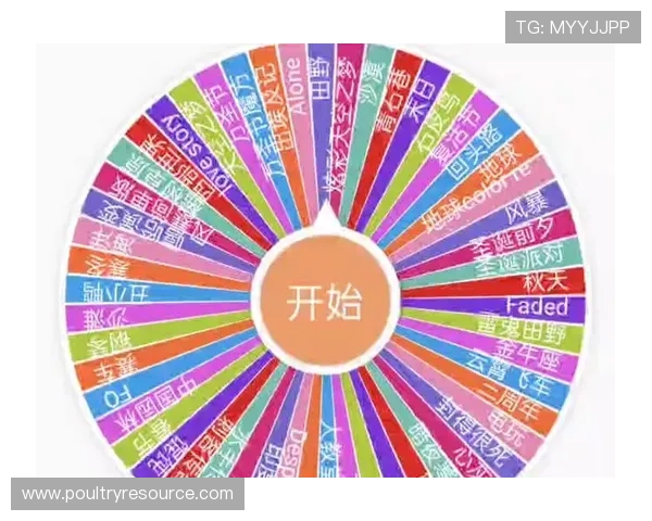 如何利用在线随机转盘提升游戏体验和增加获胜几率的实用技巧指南