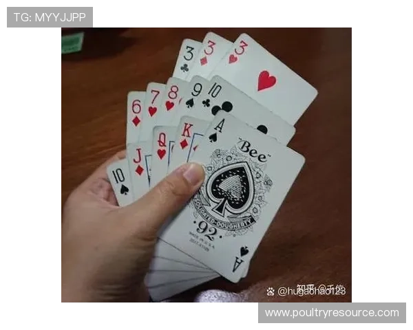 如何通过十三水技巧在比赛中获得更高的胜率和排名