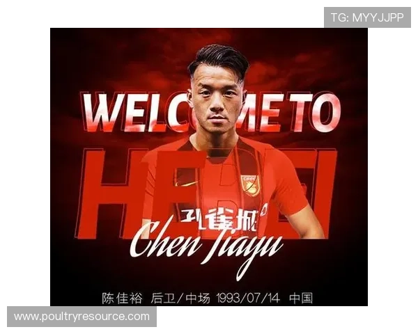 开元app安卓优化设置建议助你提升游戏运行流畅度和稳定性