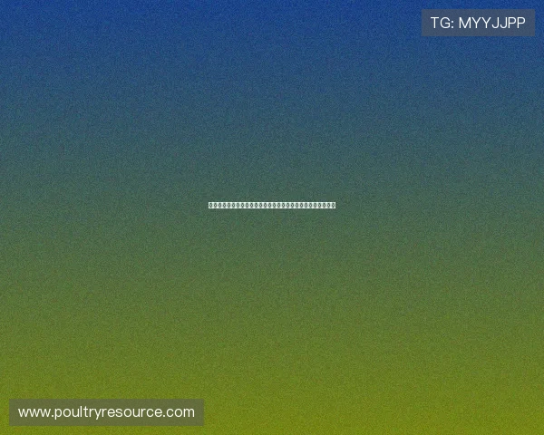 开元棋牌官网最新游戏资讯，掌握行业动态把握第一手游戏攻略