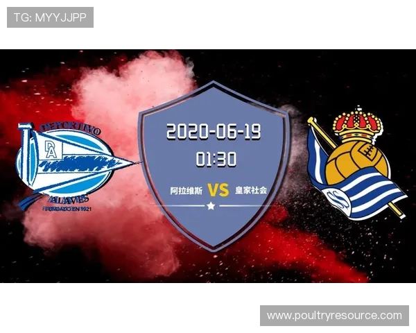 必赢亚赢玩家必看游戏技巧大全助你在激烈竞争中稳占优势