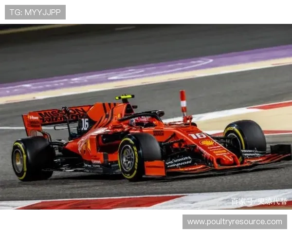 必赢体育亚洲提供专业的赛事分析与预测，帮助玩家做出科学合理的投注决策