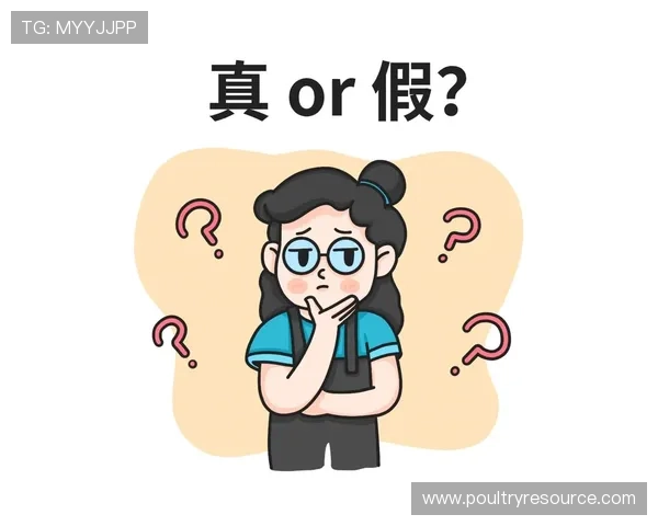 必赢包网常见问题解答全面覆盖游戏规则与账户安全相关疑问
