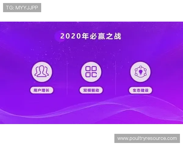 必赢国际官方网址最新优惠活动汇总让你享受更多丰富的游戏福利