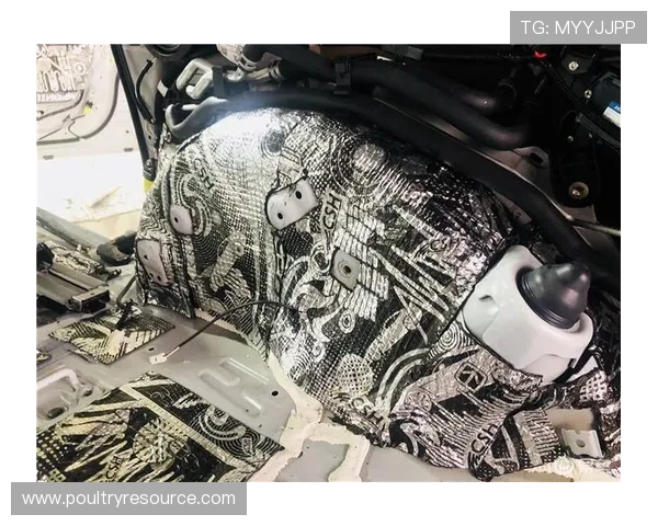 必赢娱乐最新技术支持保障游戏流畅运行带来极致娱乐体验