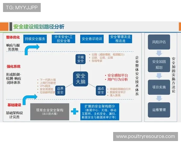 必赢平台安全可靠保障玩家资金与信息安全的全面解决方案