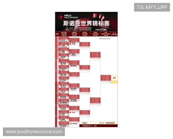 掌握必赢官网最新赛事信息和活动安排助你把握每一次赢取大奖的机会
