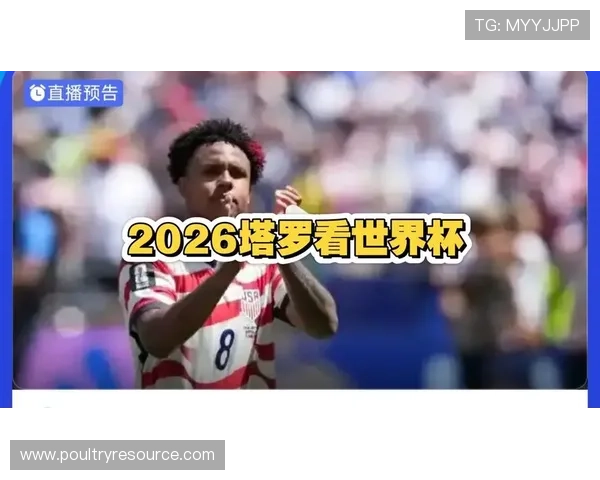世界杯土耳其对阵美国比赛详细数据比分分析与赛况回顾
