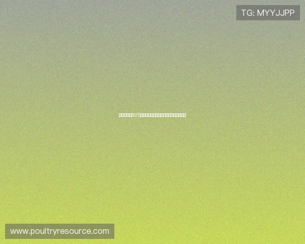 世界杯苏格兰VS摩洛哥比赛时间公布及比赛地点详细信息